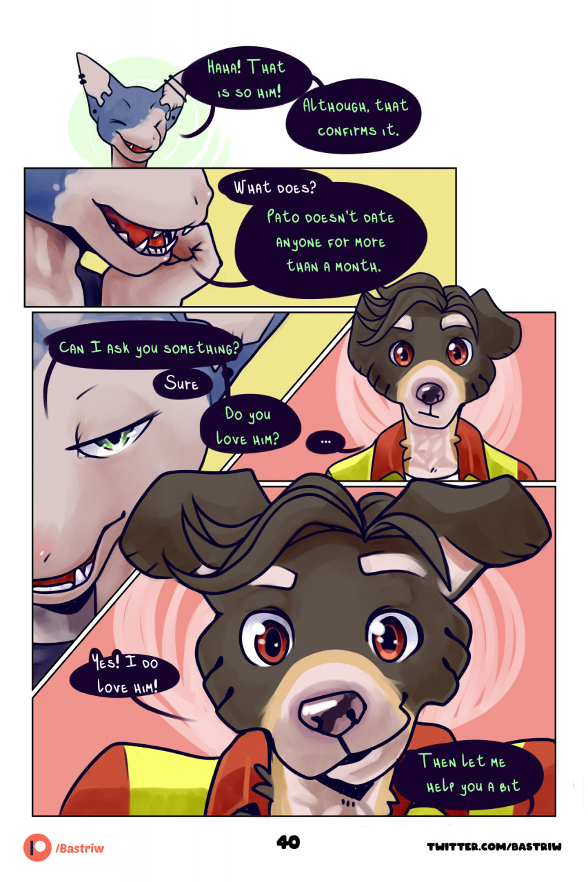 Page 41